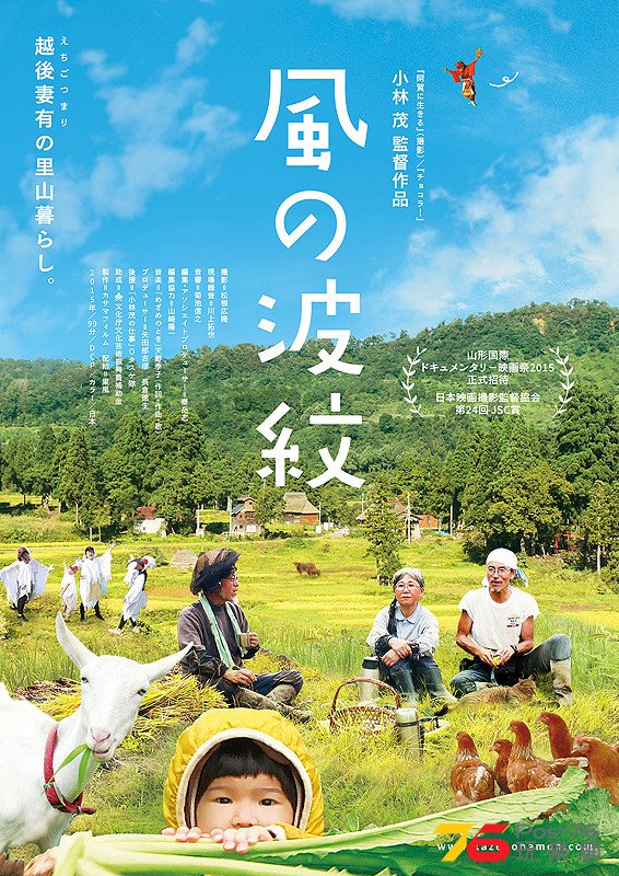風の波紋.jpg
