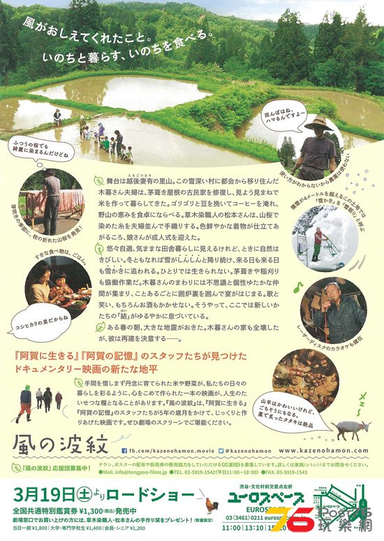 風の波紋1.jpg