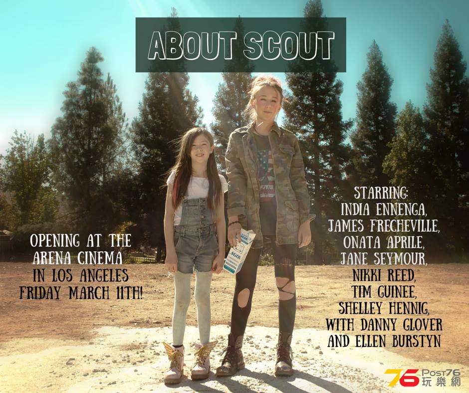 About Scout.jpg