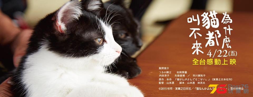 為什麼貓都叫不來.jpg