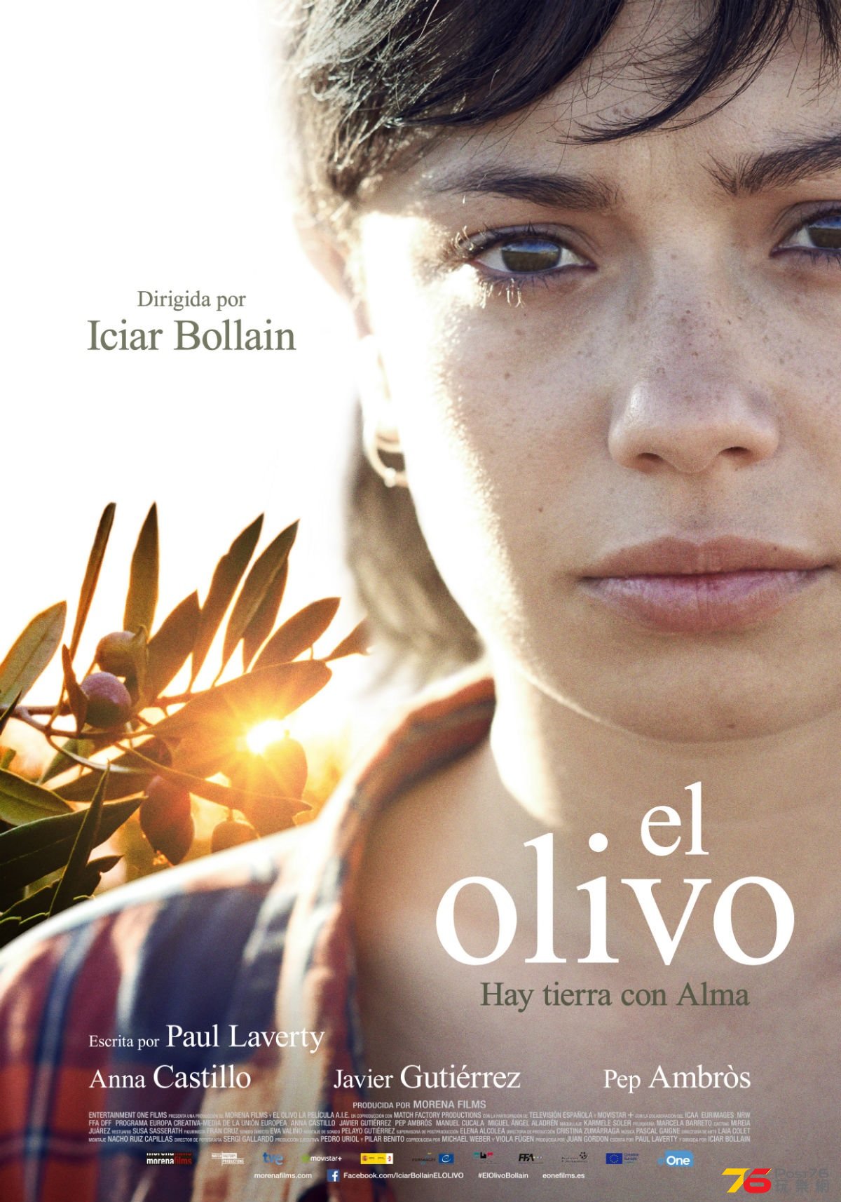 El olivo.jpg