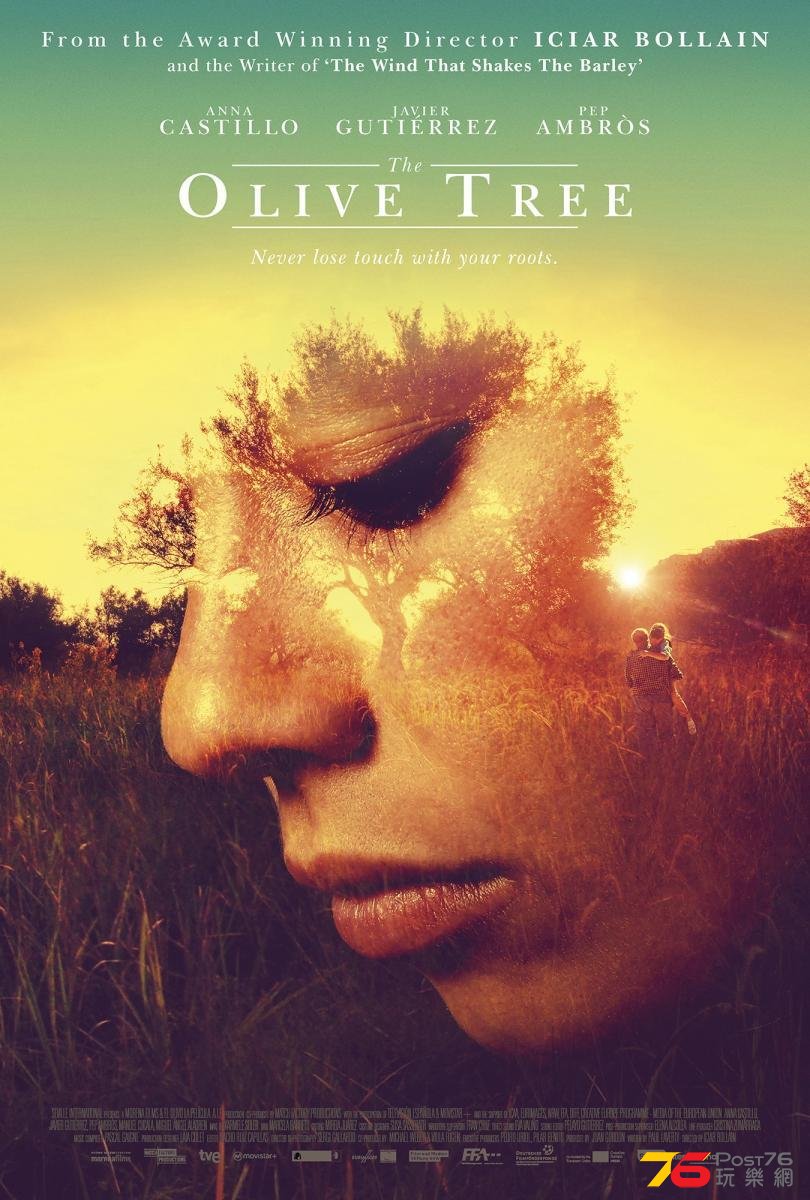 Olive Tree1.jpg