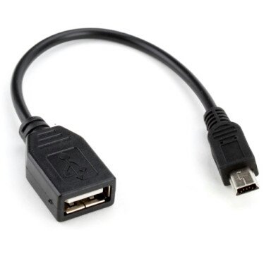 Female-usb-to-mini-usb.jpg