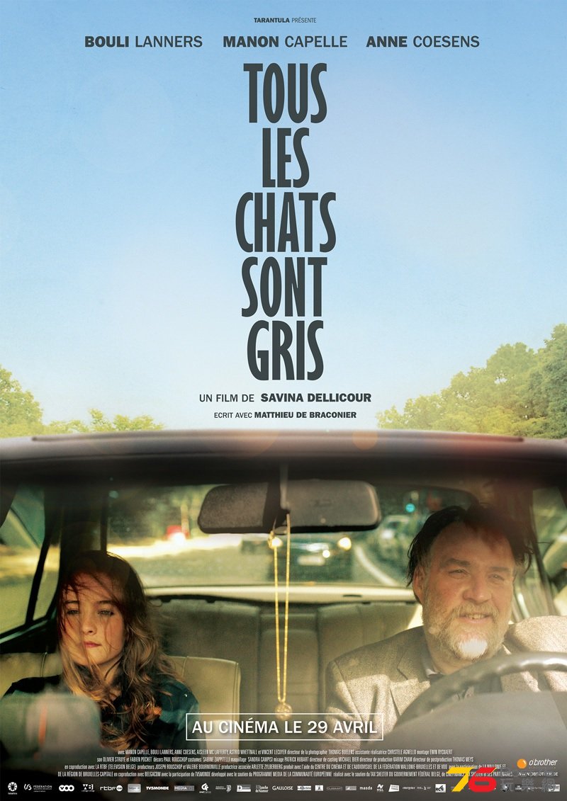 Tous les Chats sont gris.jpg