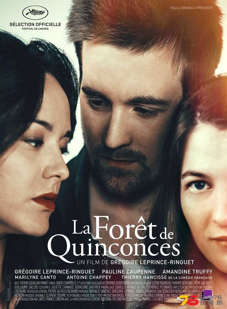 La forêt de Quinconces.jpg