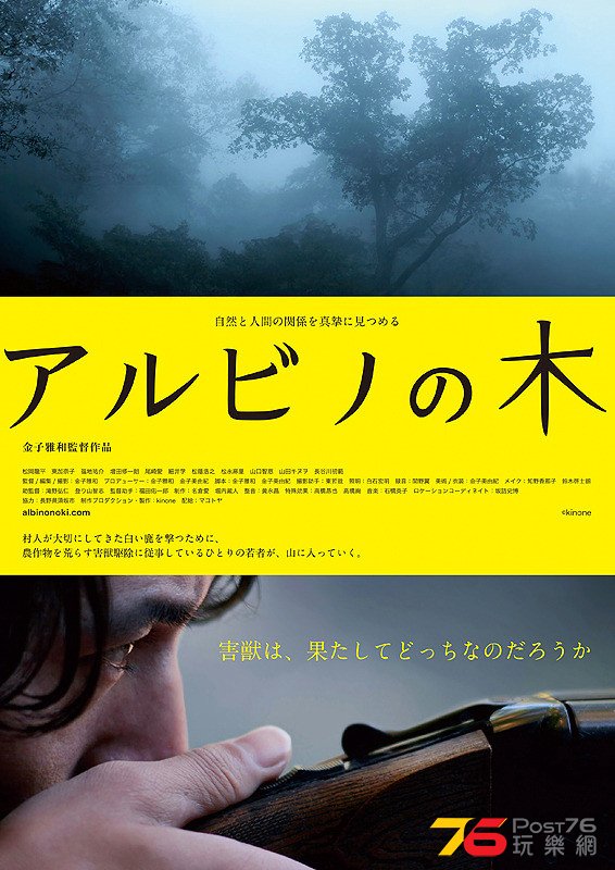 アルビノの木.jpg