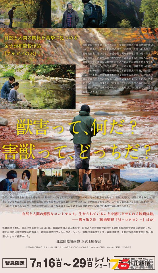 アルビノの木1.jpg