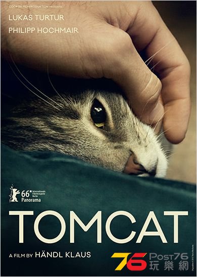 Tomcat.jpg