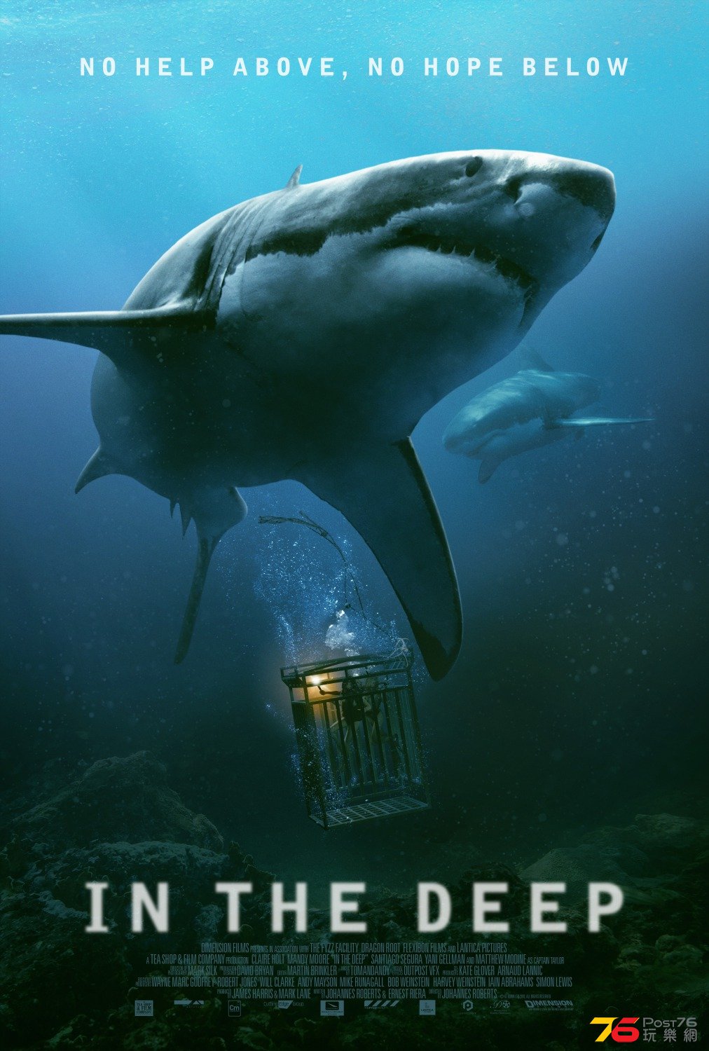 In the Deep 47 Meters Down1.jpg