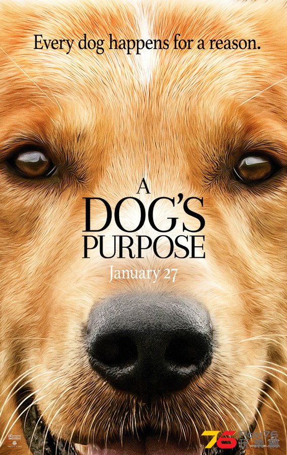 A%20Dog\'s%20Purpose.jpg