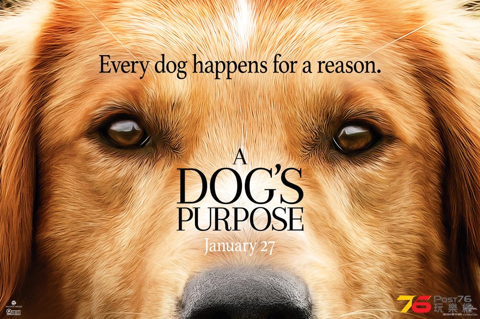 A Dog\'s Purpose1.jpg