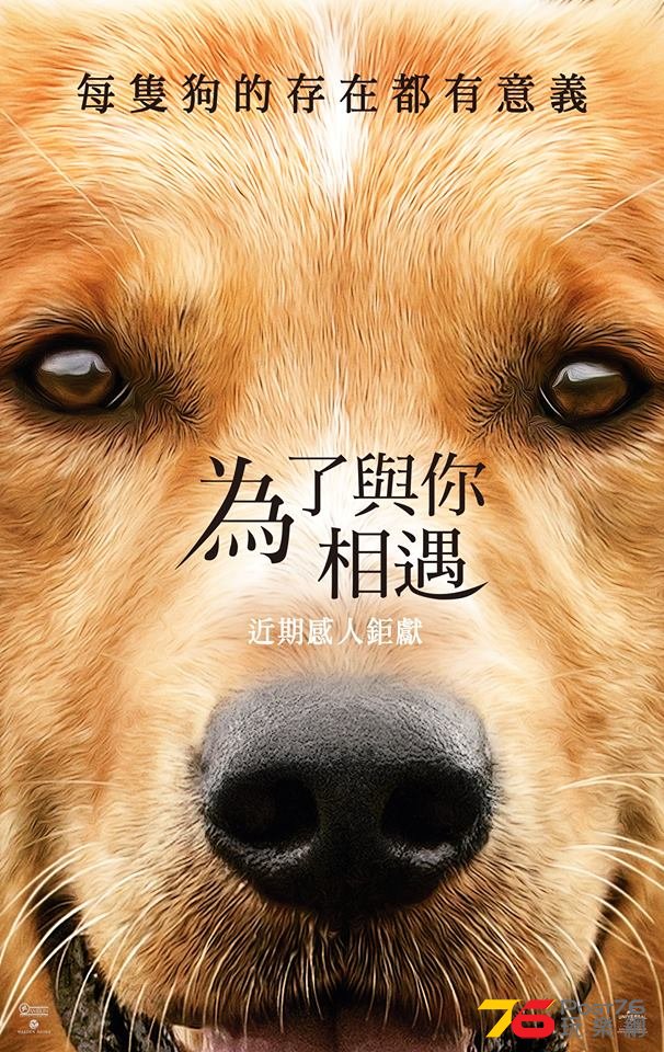 為了與你相遇.jpg