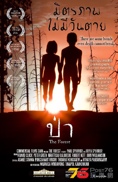 the forest 21.jpg
