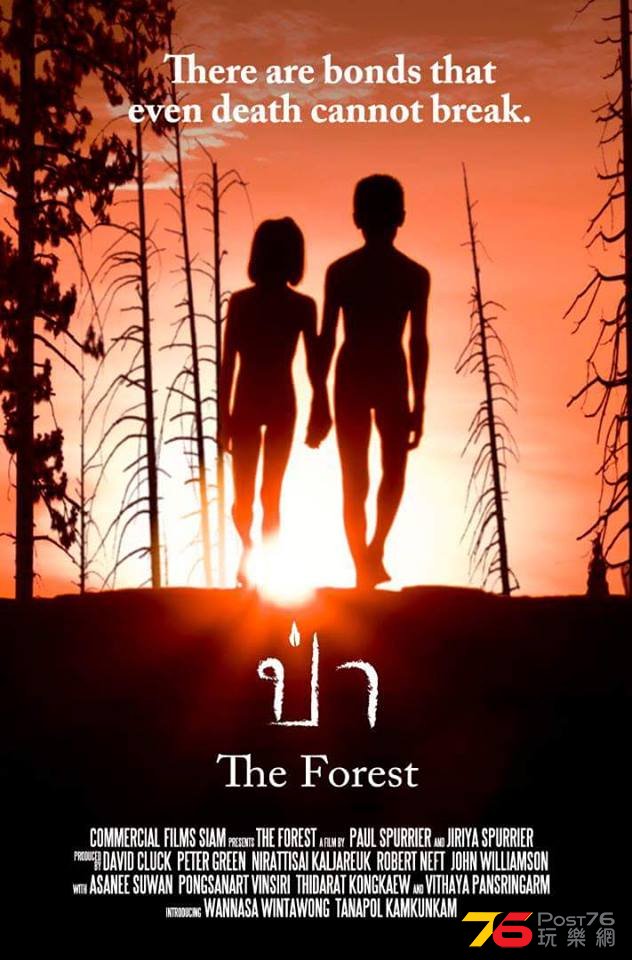 The Forest 32.jpg