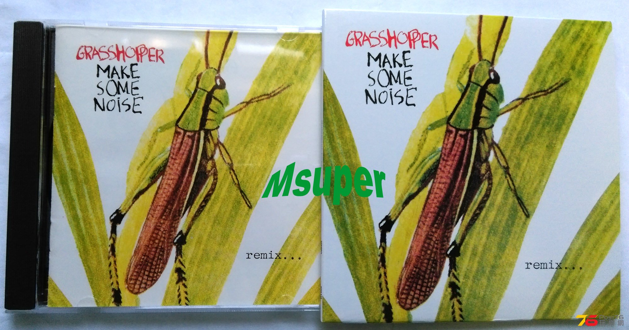 Grasshopper_1.jpg