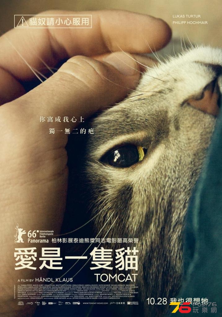 愛是一隻貓.jpg