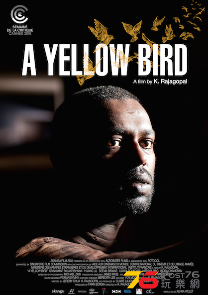 A Yellow Bird.png