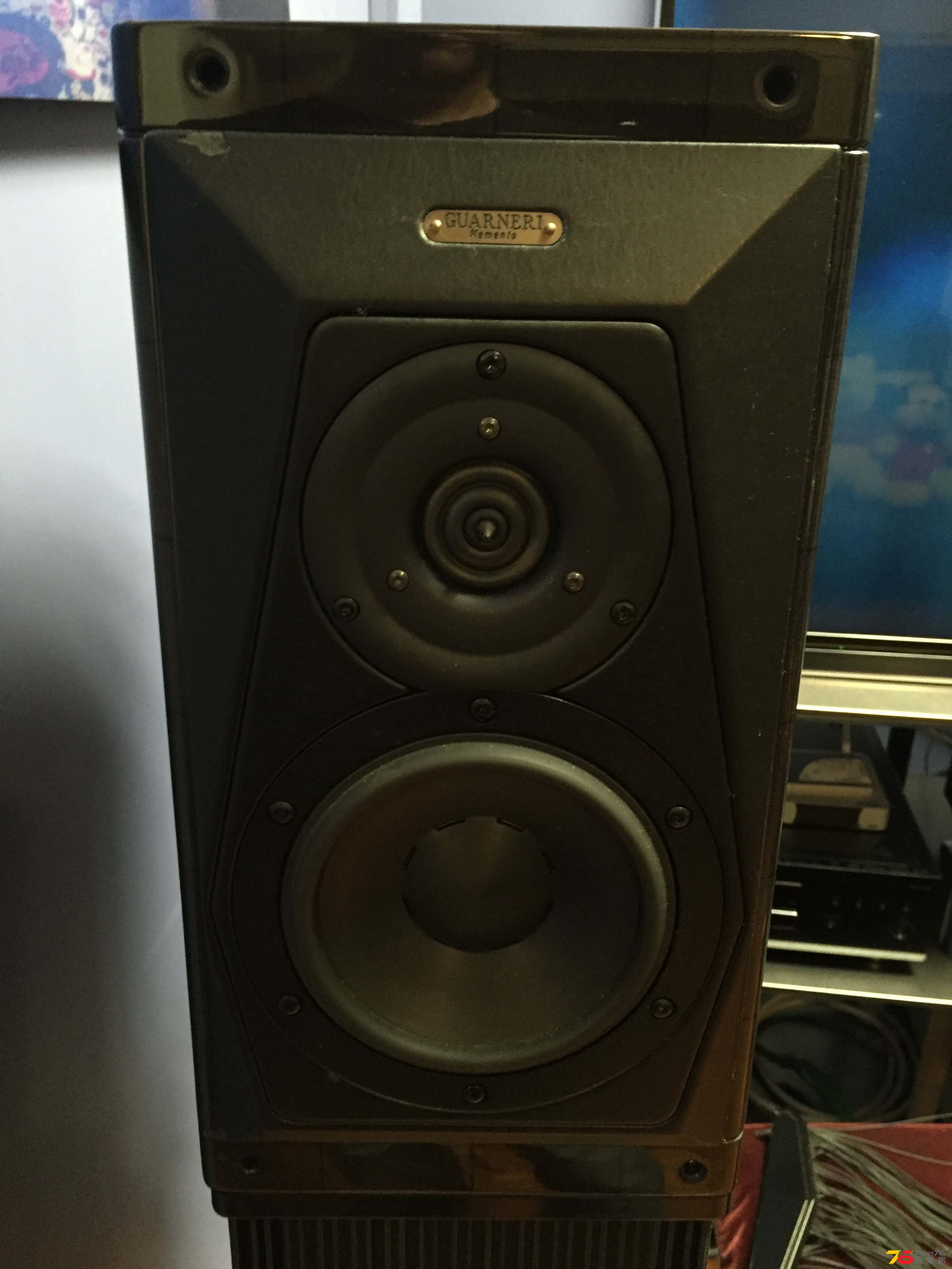Front Panel On This Side Has Two Smal Leather Peeled Off