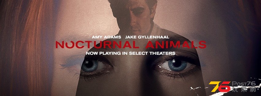 Nocturnal Animals5.jpg