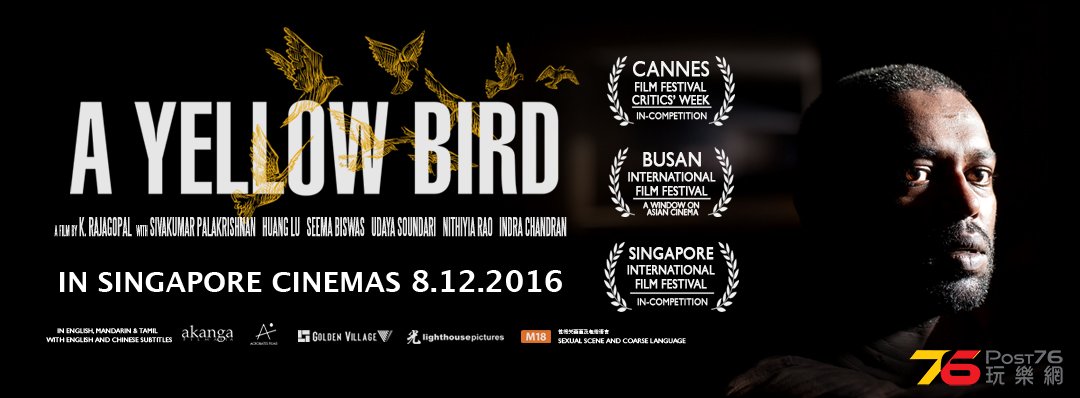 A Yellow Bird 3.jpg