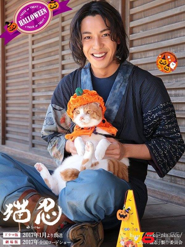 猫忍2.jpg