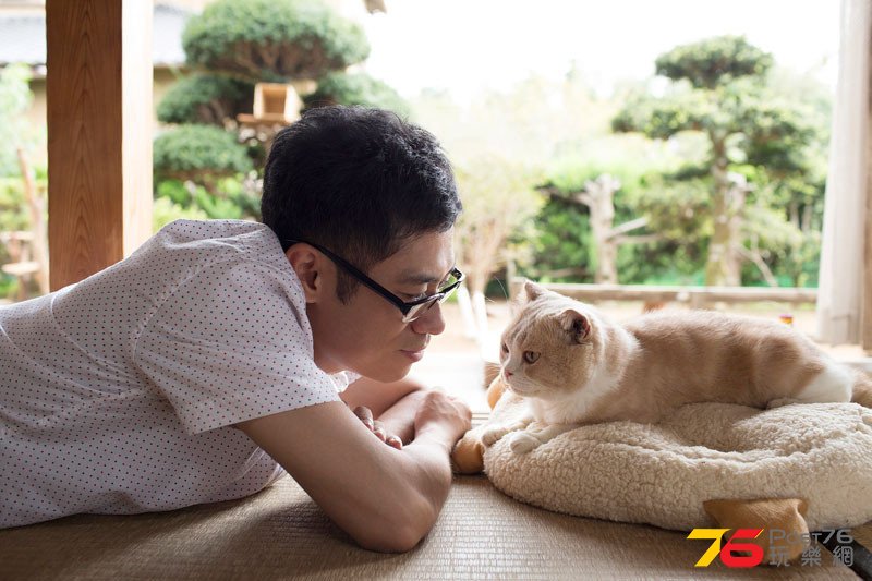 ねこあつめの家.jpg
