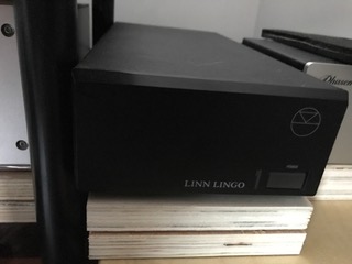 Lingo1