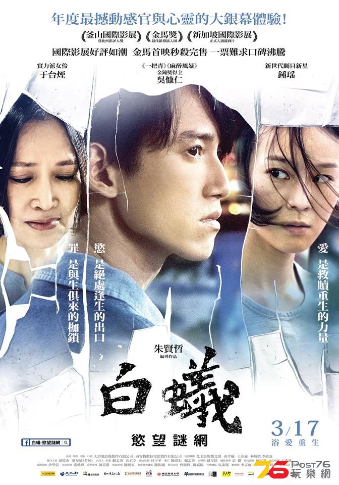 白蟻.jpg