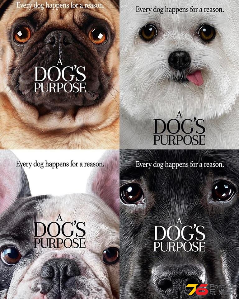 A Dog\'s Purpose.jpg