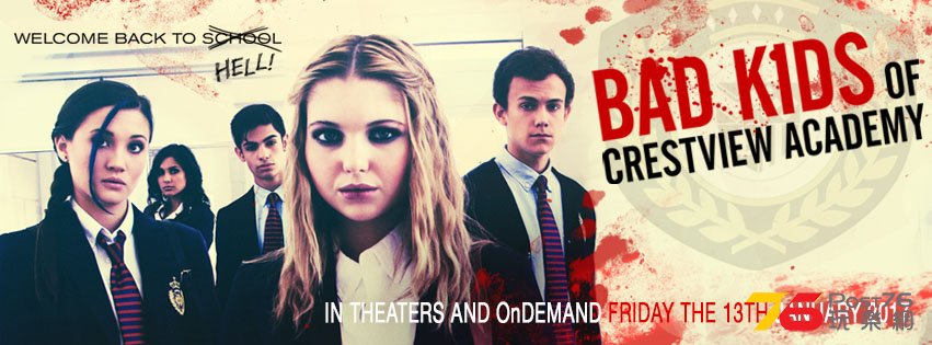 Bad Kids of Crestview Academy1.jpg