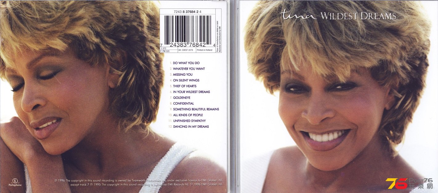 tinaTurner96wildestDream.jpg
