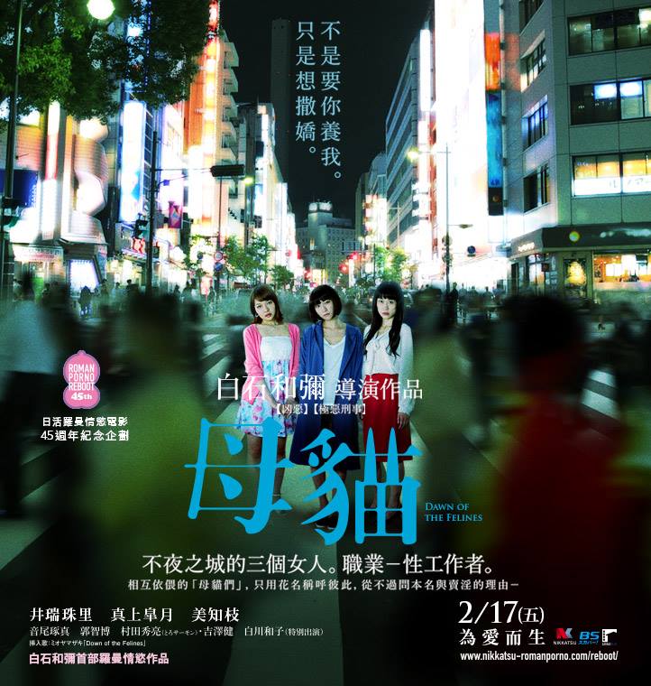母貓1.jpg