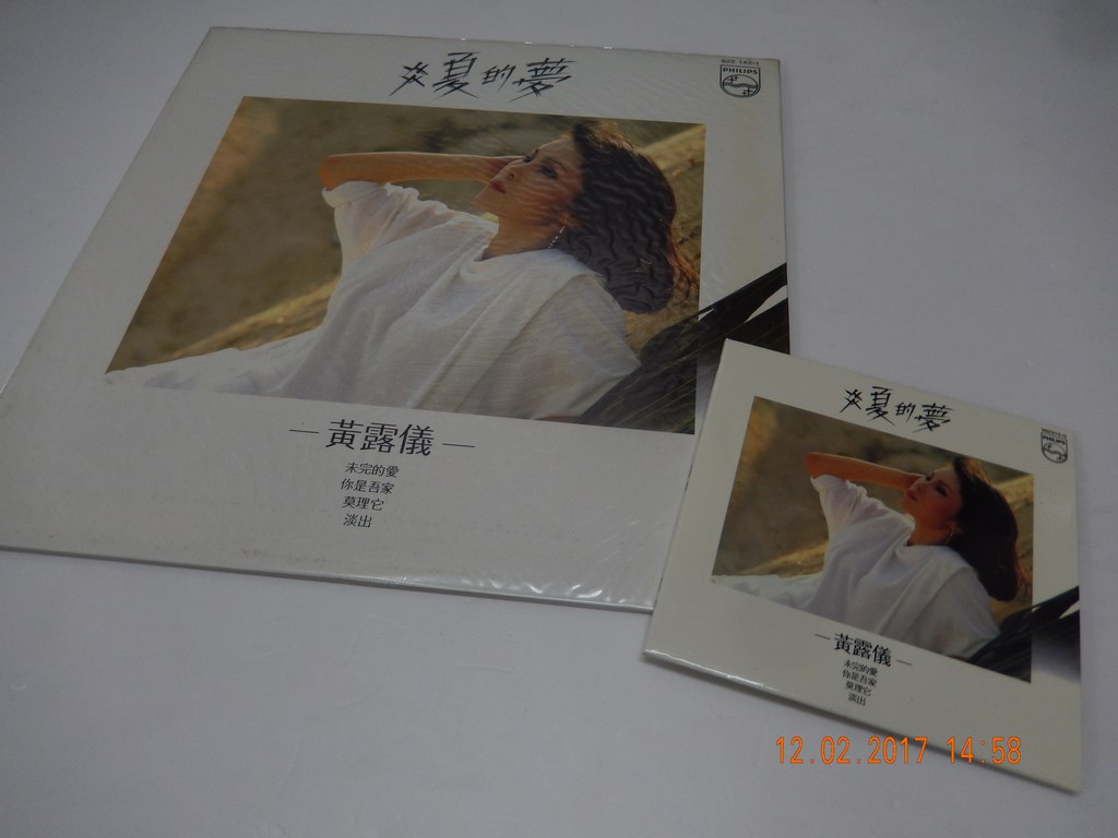 黃露儀 (炎夏的夢) (1).JPG