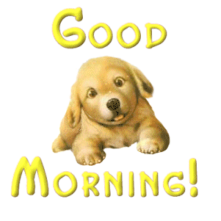 good morning greetings (3).gif