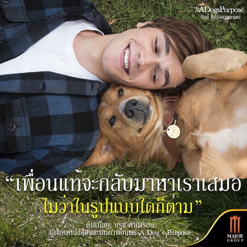 A Dog's Purpose 1.jpg
