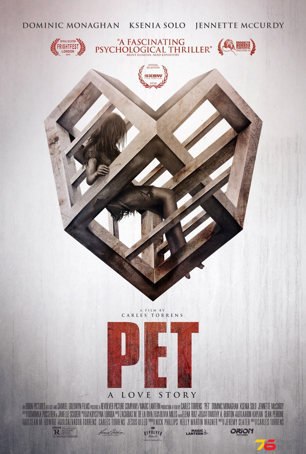 Pet3.jpg