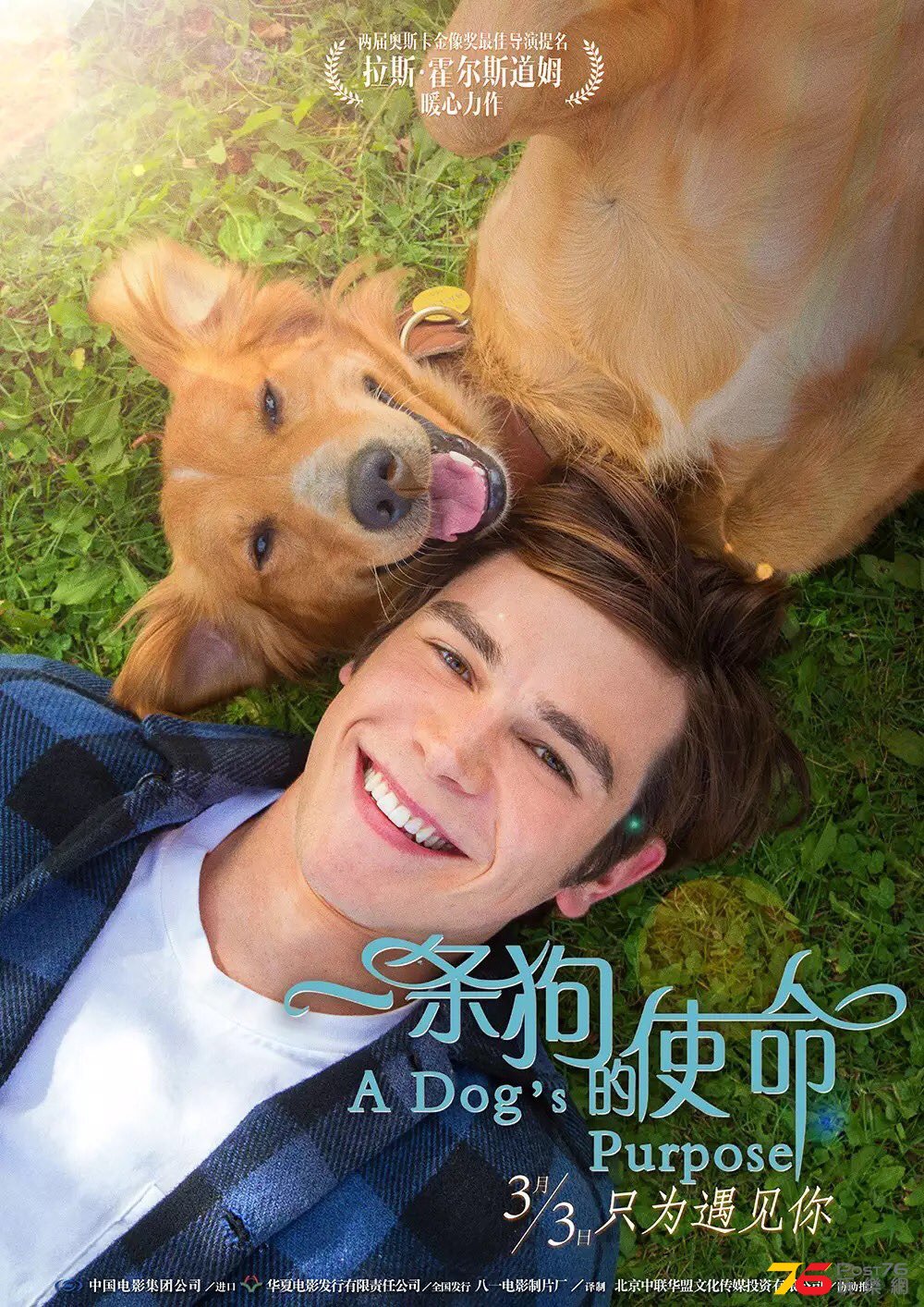 一條狗的使命.jpg