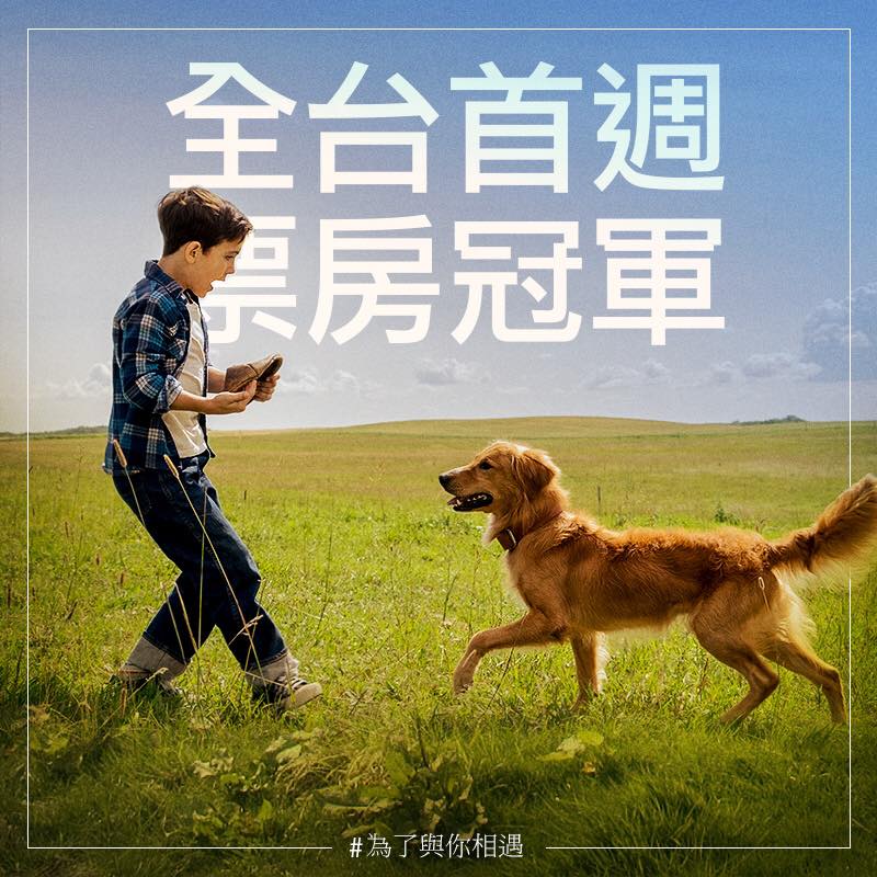 為了與你相遇.jpg