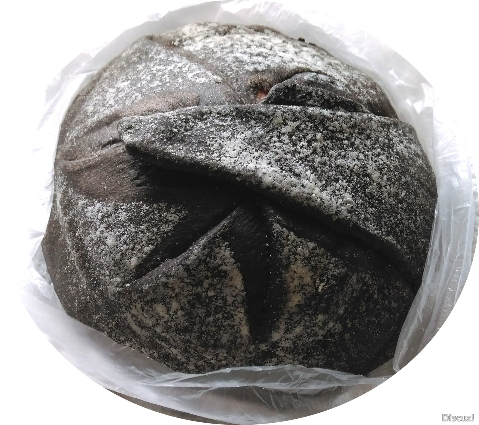 Bread_1.jpg