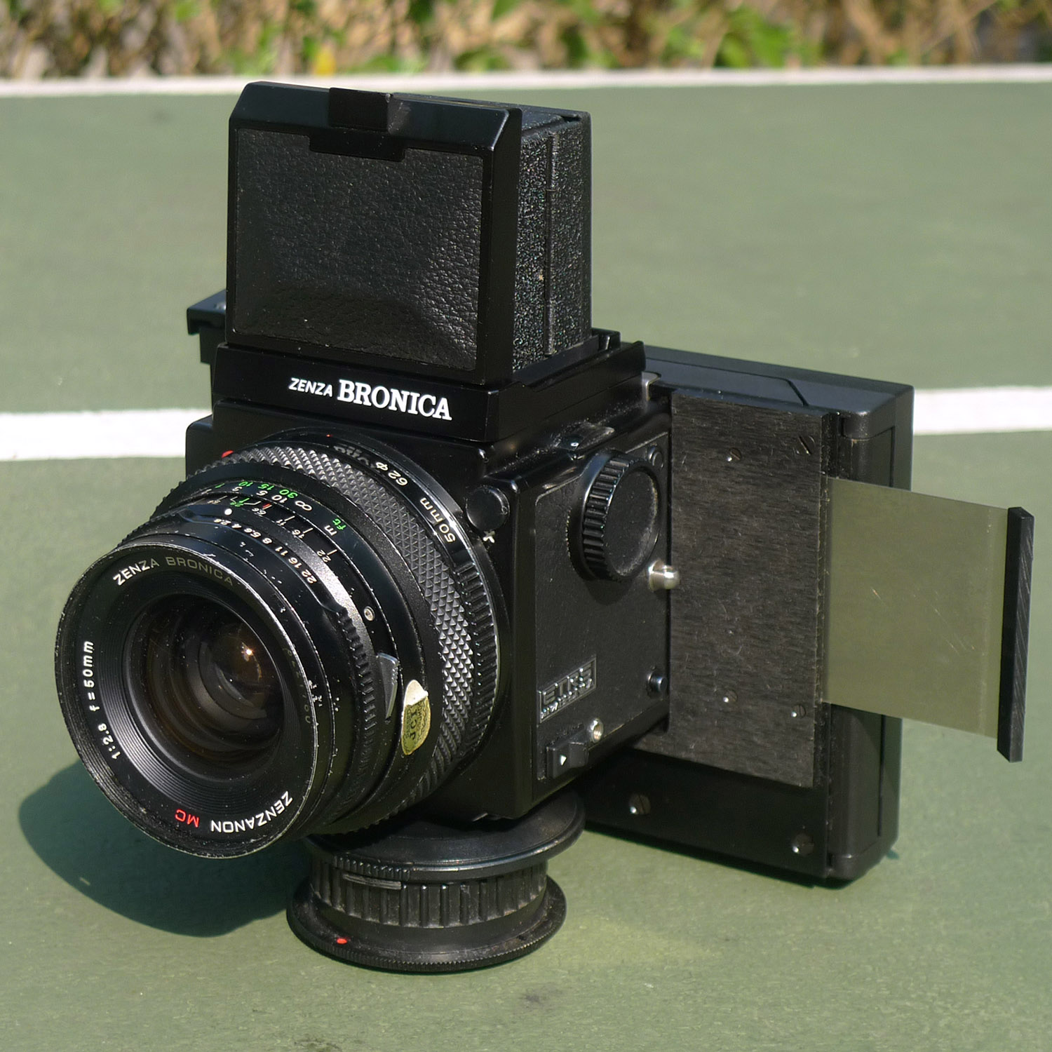 P1110264 lr.jpg