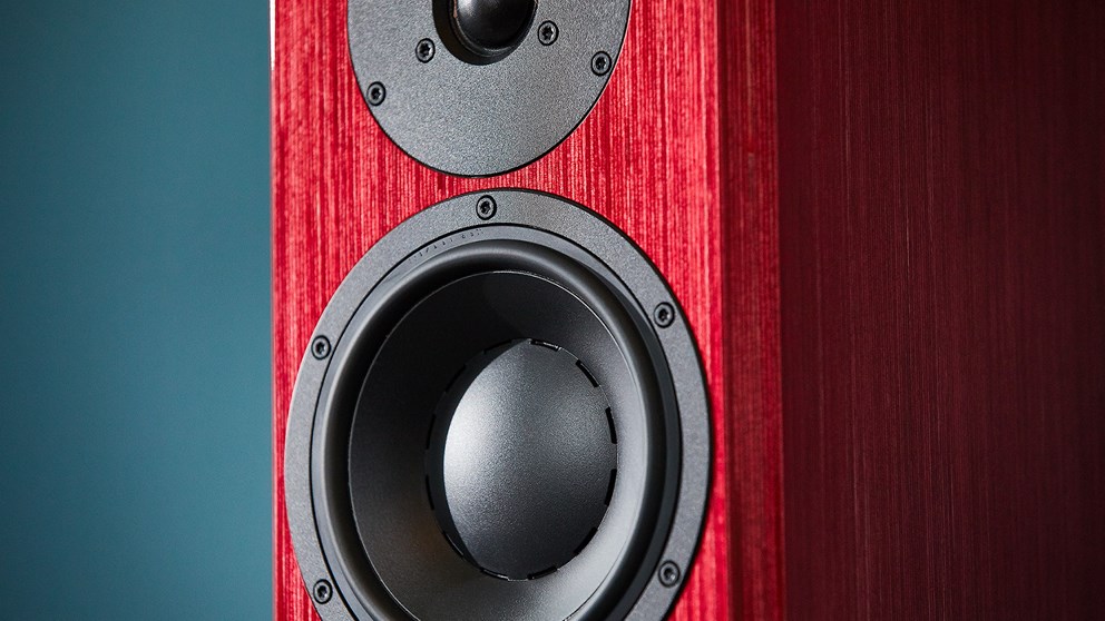 dynaudio-special-40-closeup-red-birch-01.jpg