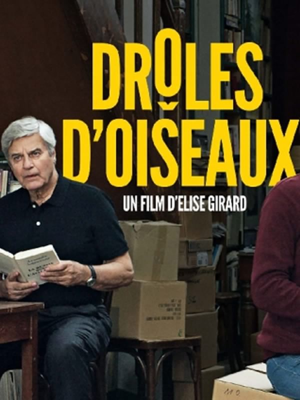 droles-d-oiseaux.jpg