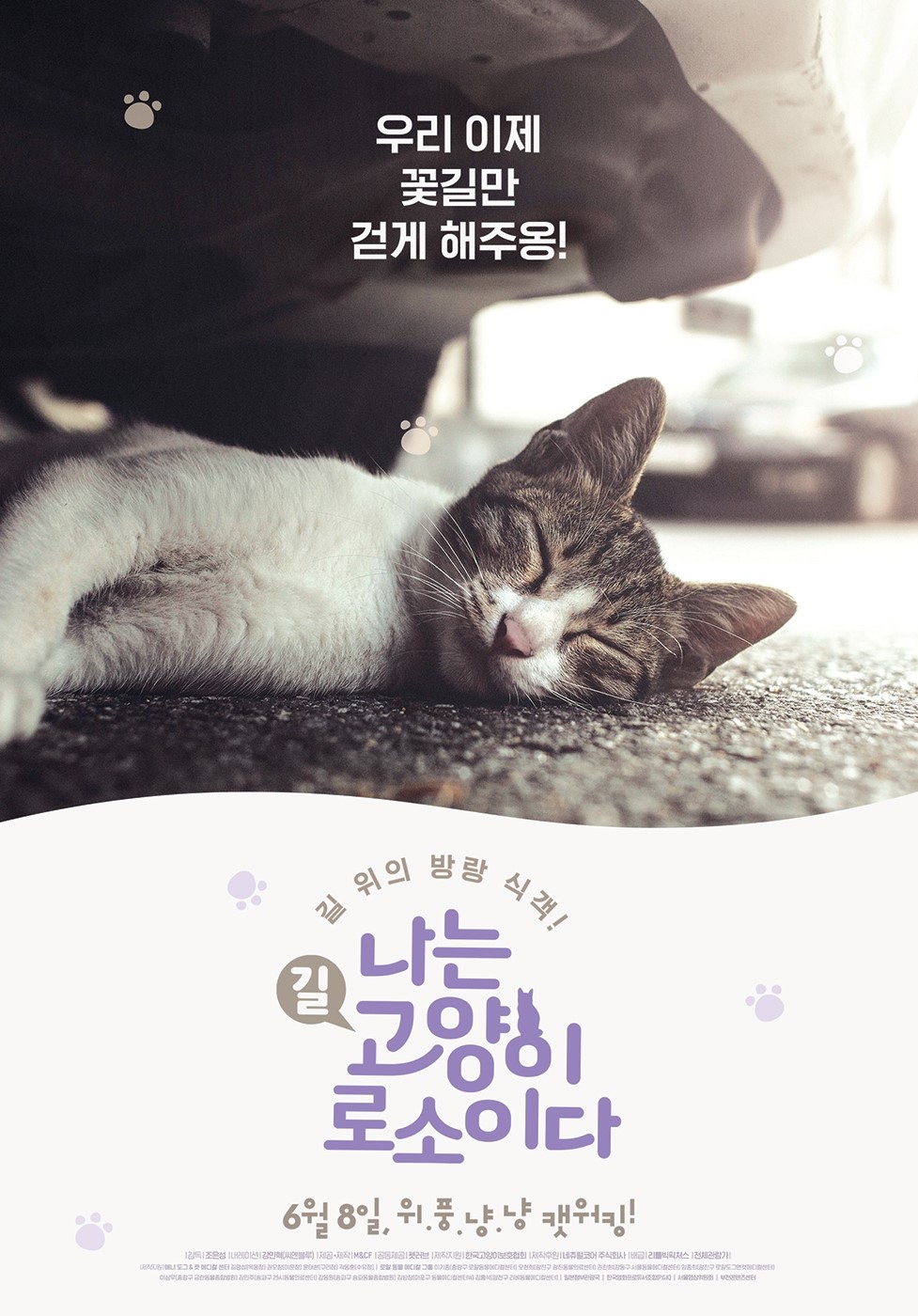 나는 고양이로소이다.jpg