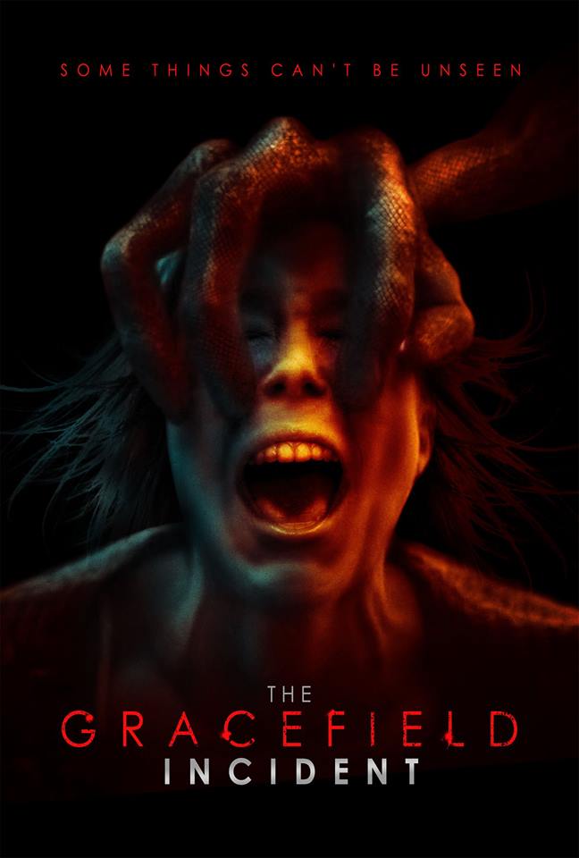 The Gracefield Incident1.jpg