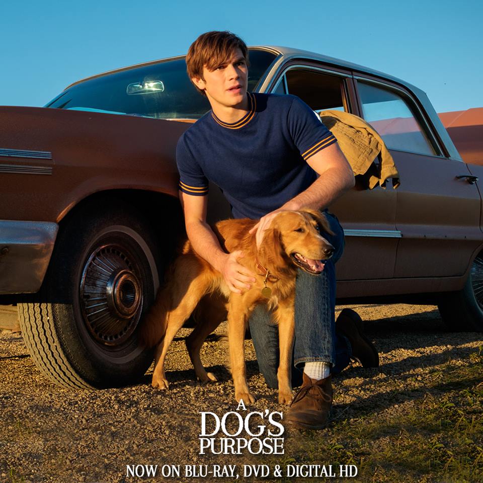 A Dog's Purpose 2.jpg
