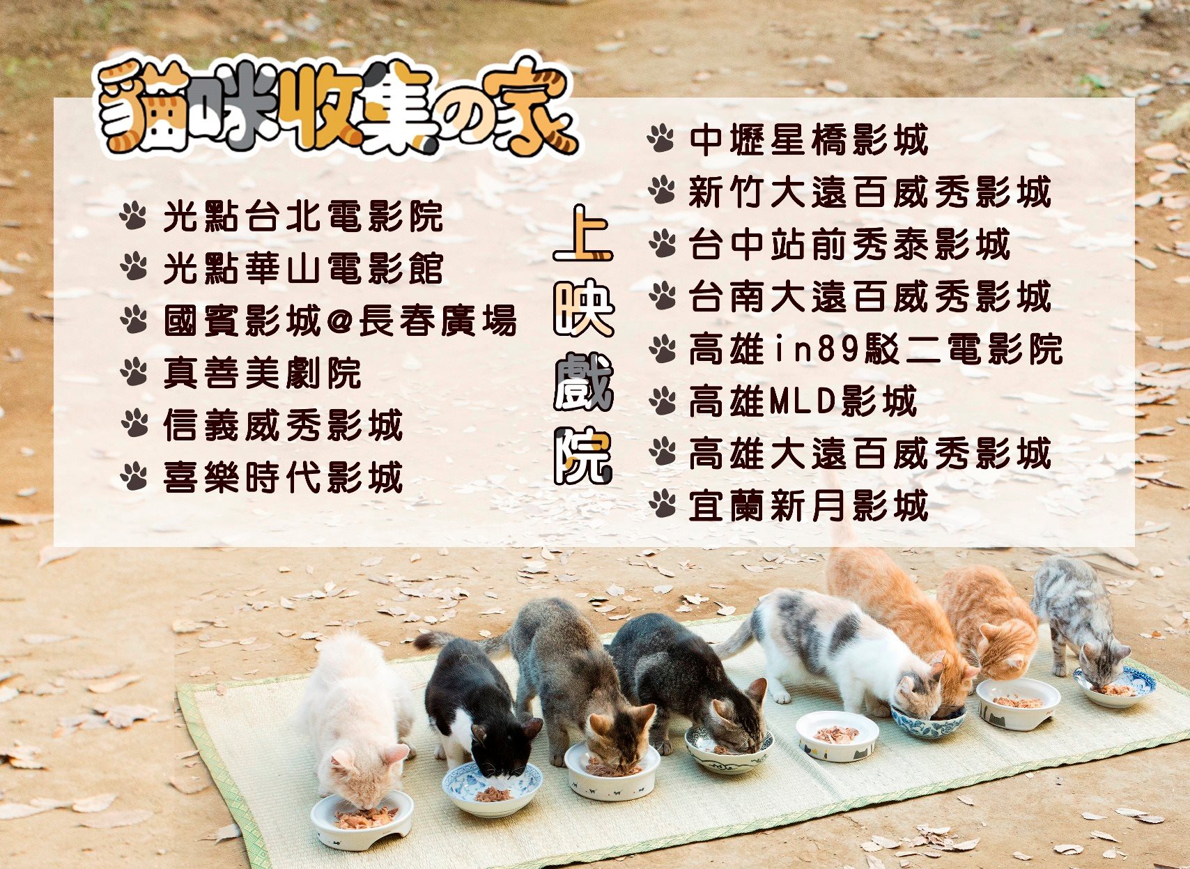 貓咪收集之家2.jpg