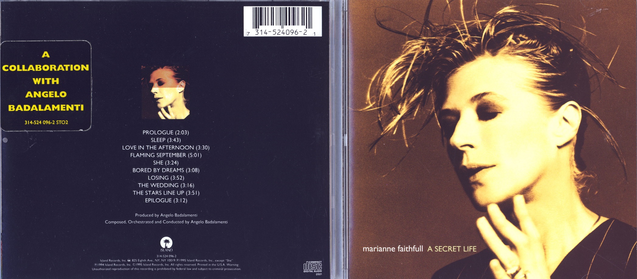 marianneFaithfull95secretLife.jpg