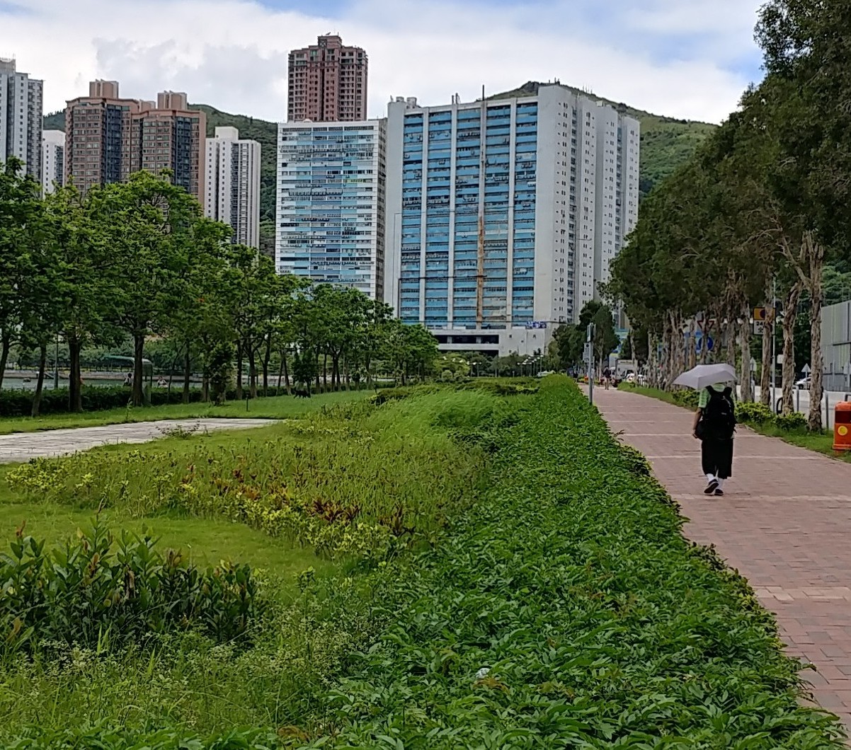 20170701_131923_HDR-1-1-1.jpg