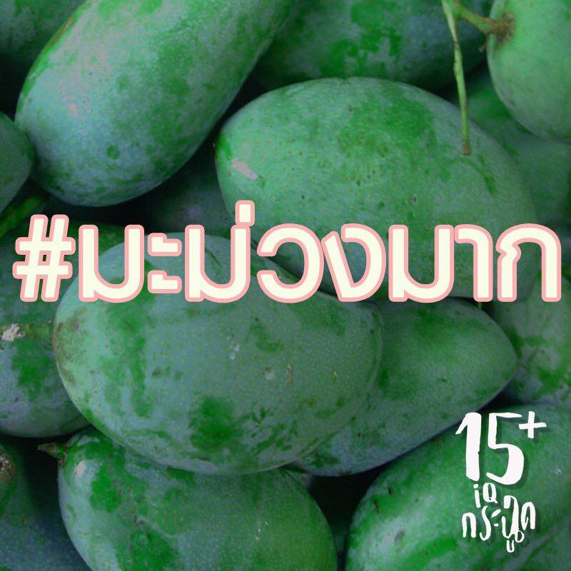 15บวกไอคิวกระฉูด 5.jpg