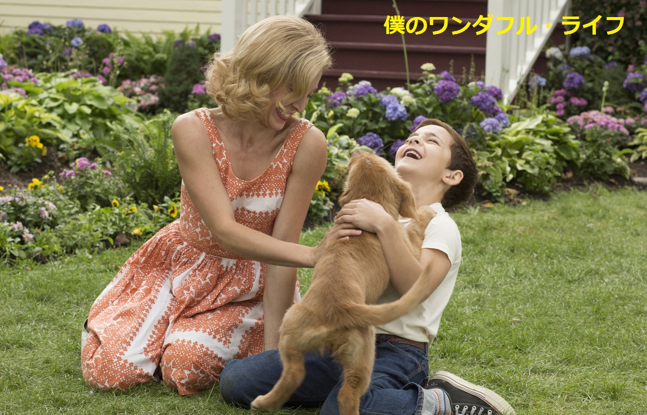 僕のワンダフル・ライフ2.jpg